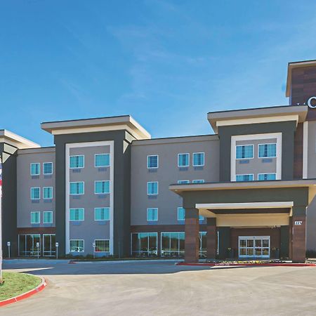 La Quinta By Wyndham Dallas - Wylie Ngoại thất bức ảnh